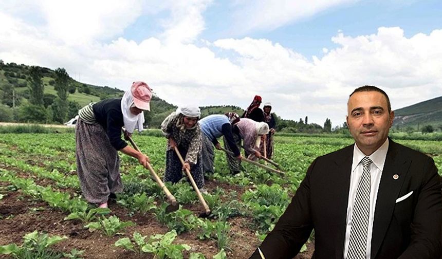 CHP’li Kaya’dan Tarım ve Orman Bakanlığı’na çağrı: “Çiftçilik bitme noktasında”