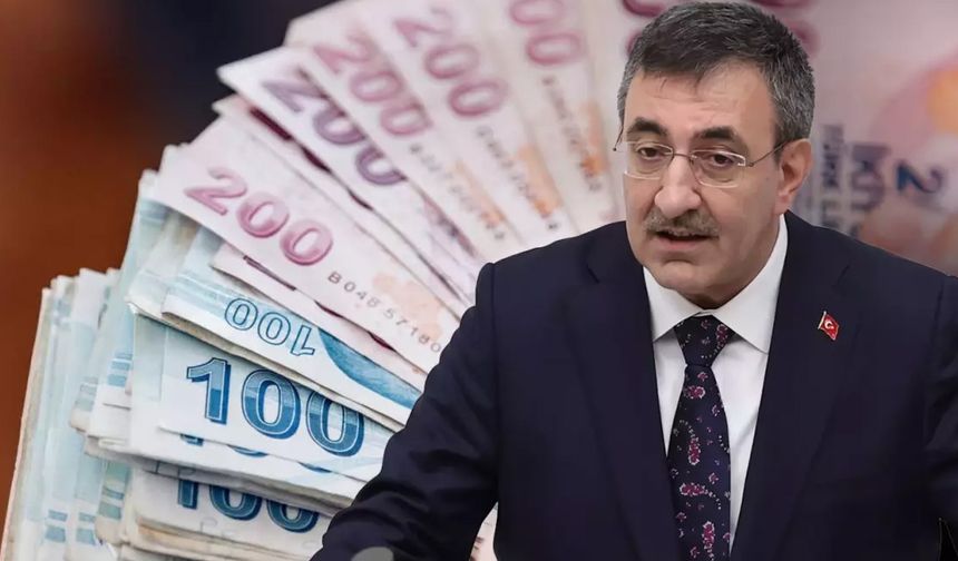 Cumhurbaşkanı yardımcısından müjde: Vatandaşlık maaşı için tarih verdi