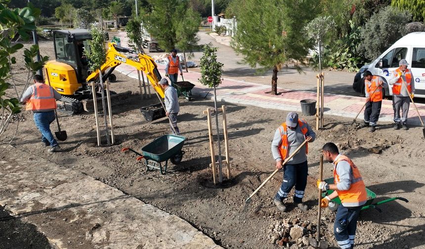 Yeşilbayır Mahallesi pilot bölge seçildi: Bölgede çalışmalar başladı