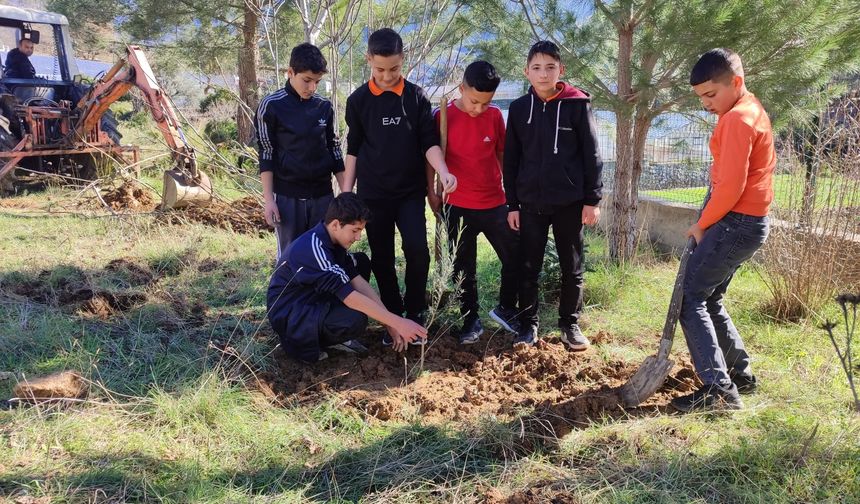 Antalya'da öğrenciler tarafından 50 adet zeytin fidanı dikildi