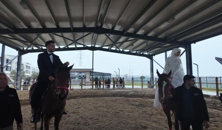 At üstünde başlayan aşk at üstünde taçlandırıldı