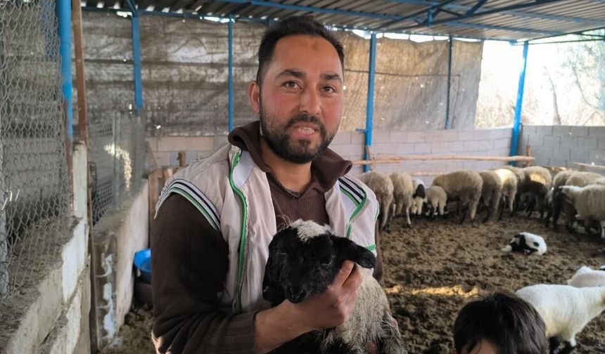 Çift başlı ve 4 gözlü doğdu: 1 gün sonra öldü