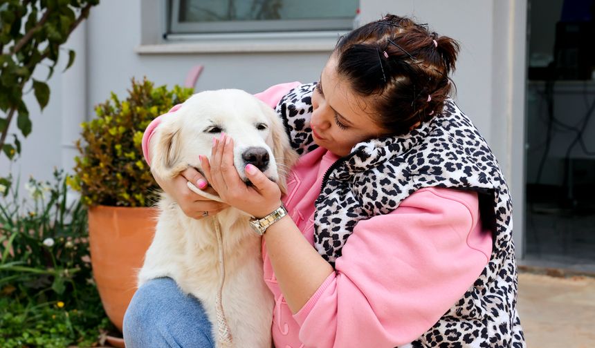 "Satın alma, sahiplen!" Patili dostlar sahiplerini bekliyor!