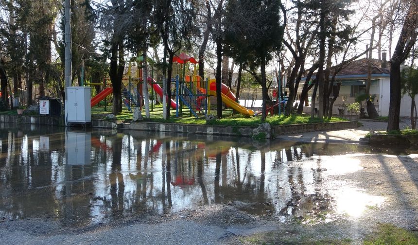 Yağışlar arttı, Manavgat Irmağı taştı: İşletmeler sular altında kaldı