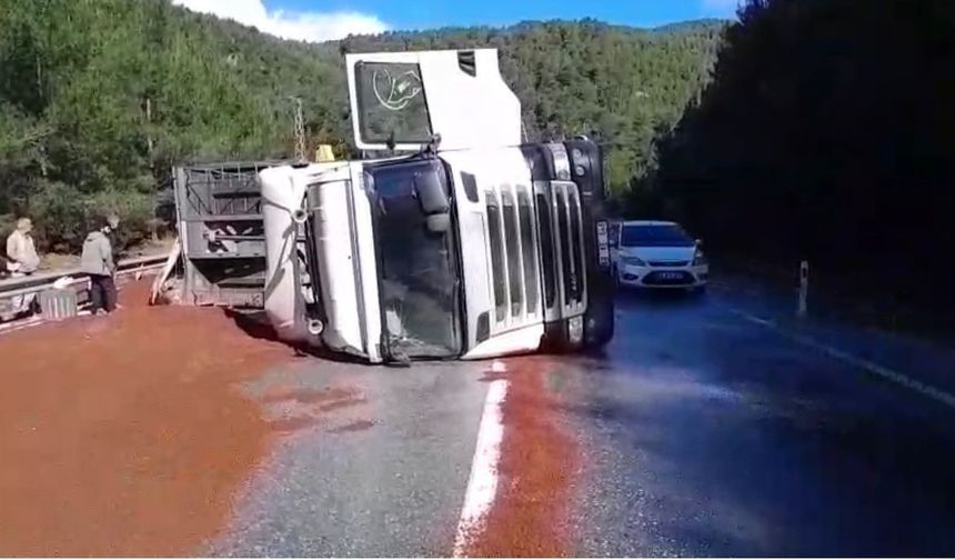 Akseki'de tır devrildi, panik yaşandı