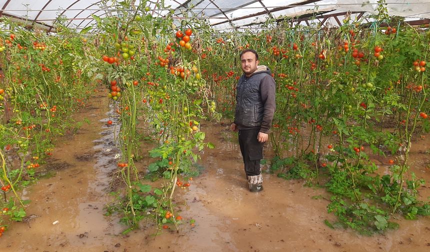 Kumluca’da hortum felaketi: Seralar yerle bir oldu