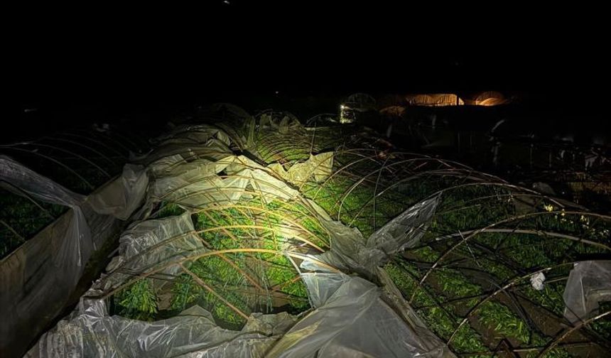 Kumluca'da çiftçiler felakete uyandı: Yağmur ve hortum seraları vurdu