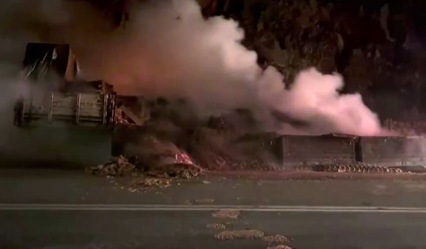 Manavgat'ta tır alevlere teslim oldu!