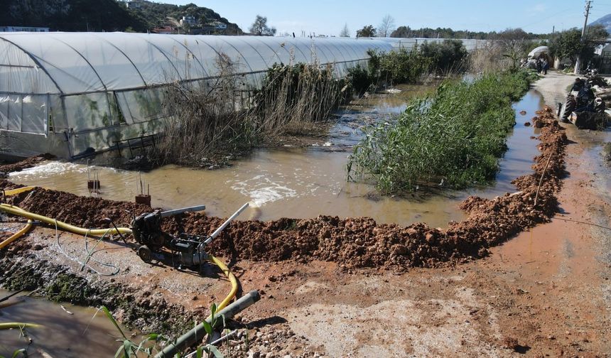 Kaş'ta seraları su bastı, üreticiler zor durumda kaldı!