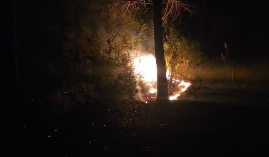 Alanya’da korkutan yangın! Ekiplerin müdahalesi f*ciayı önledi