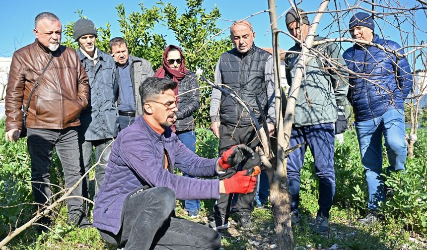 ATASEM’de ağaç budama teknikleri sahada öğretildi