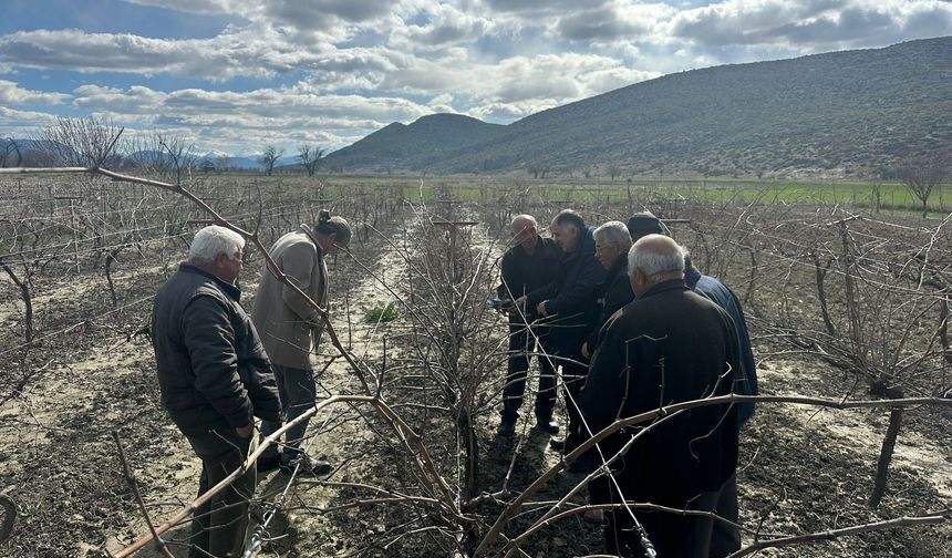 Korkutelili üreticilere tam destek: Budama eğitimi verildi