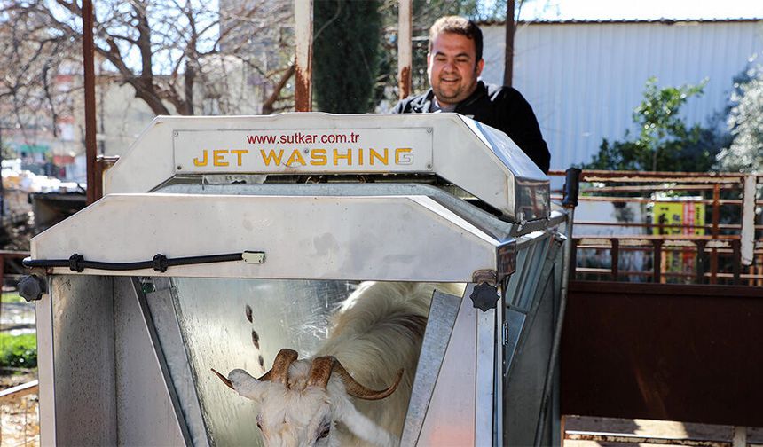 Antalya'nın Döşemealtı ilçesinde hayvancılığa teşvik: Ücretsiz ilaçlama!