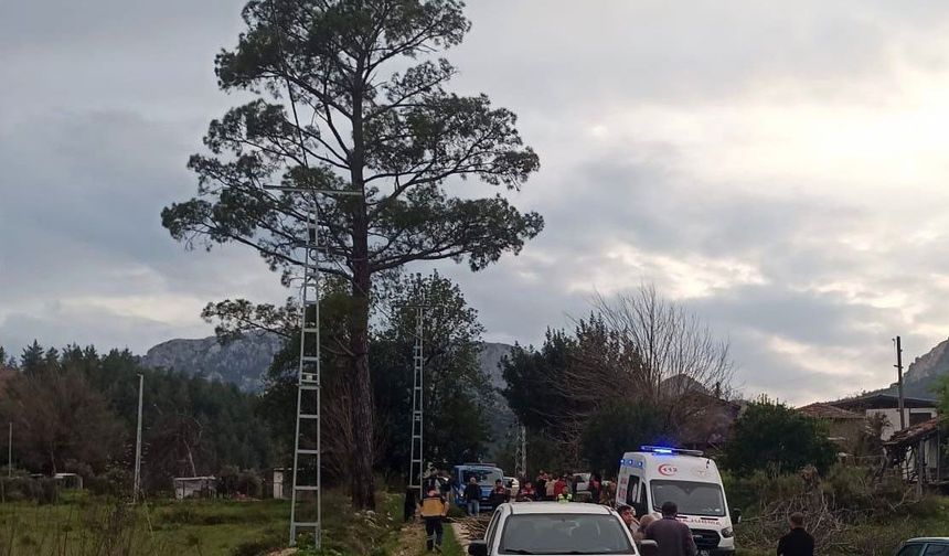 Dengesini kaybedip kamyonet kasasından düştü, hayatını kaybetti