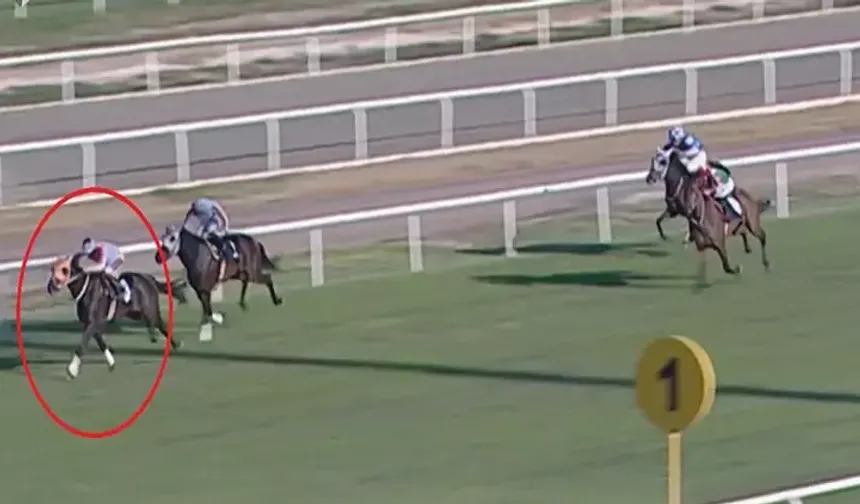 Kavurma skandalında yeni gelişme: Atın sahibine ceza!