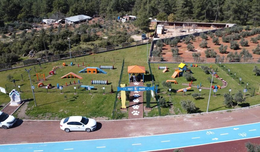 Kepez’de pati dostu proje: Pati Parkı hizmeti açıldı