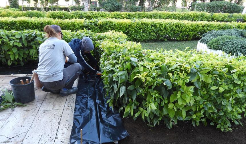Kepez’in park ve bahçeleri ekiplerin çalışmalarıyla güzelleşiyor