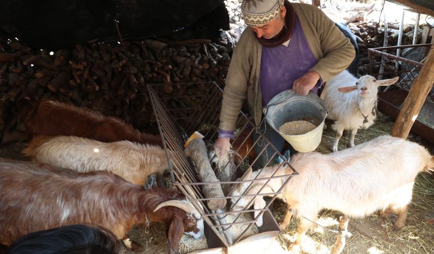 Korkuteli çiftçileri kendi yemini üretiyor: Büyükşehir’den yeni makine