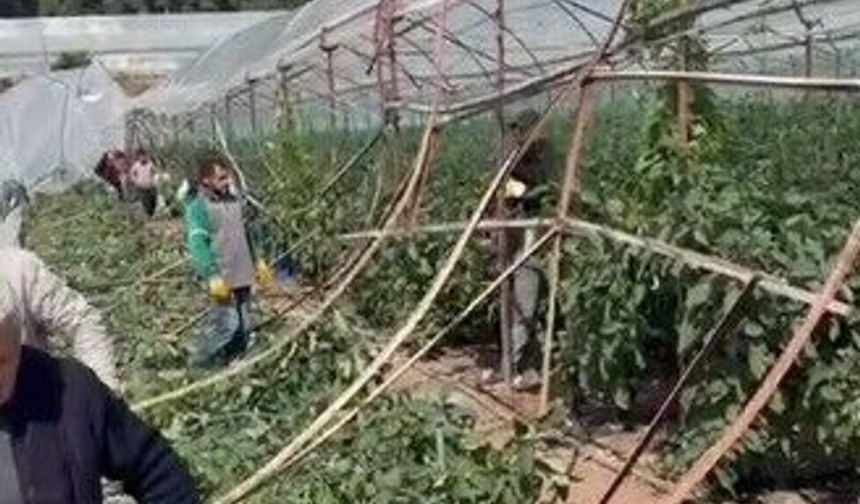 Kumluca’da hortum: 10 dönüm sera yerle bir oldu