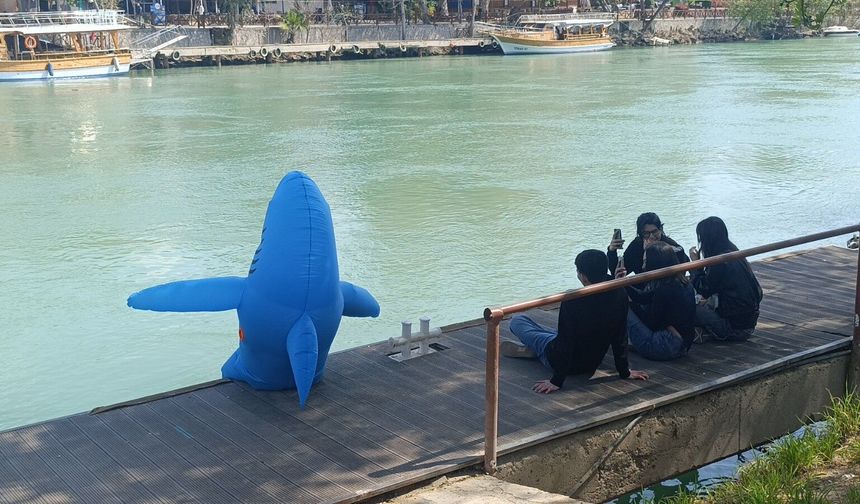 Mutlu olmak istedi: Köpek balığı kostümüyle sokağa indi