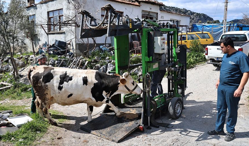 Üreticiler dikkat: Antalya Büyükşehir'den tam destek!