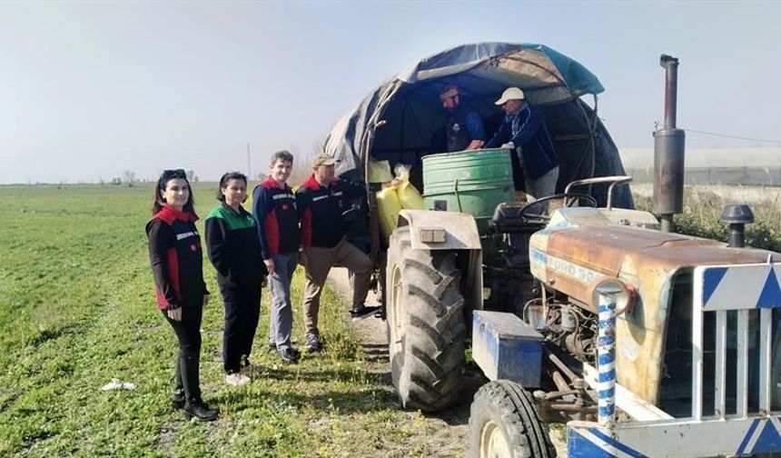 Verimi düşen hayvanlar için devlet müdahelesi: Islah çalışması başlatıldı