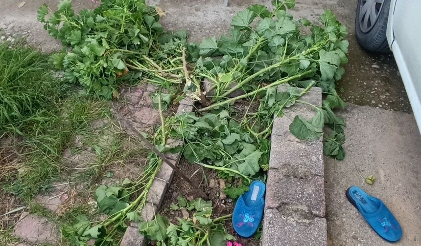 Pencereden düşen küçük kız toprak zemine çakıldı: Hastaneye kaldırıldı