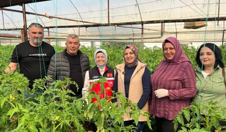 Aksu’da 370 bin tonluk üretimin büyük bölümünü kadınlar üretiyor