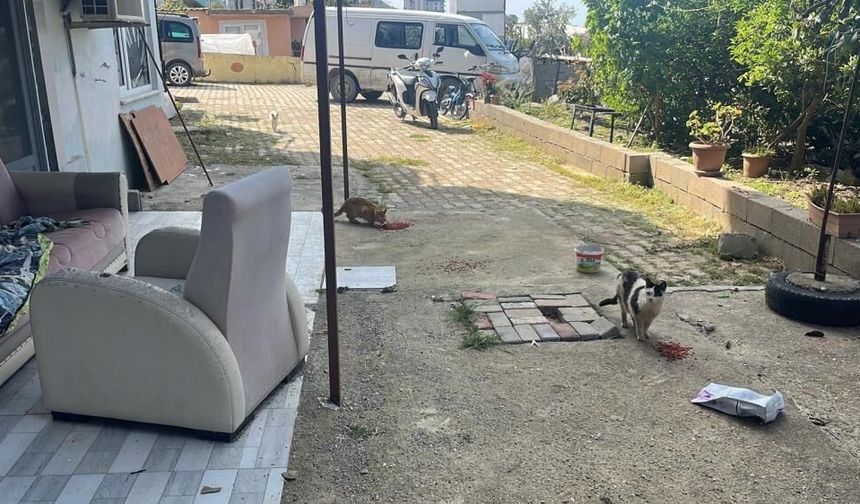 Alanya’da kiralanan daireden akıl almaz görüntü: Onlarca hayvanı gençler kurtardı!