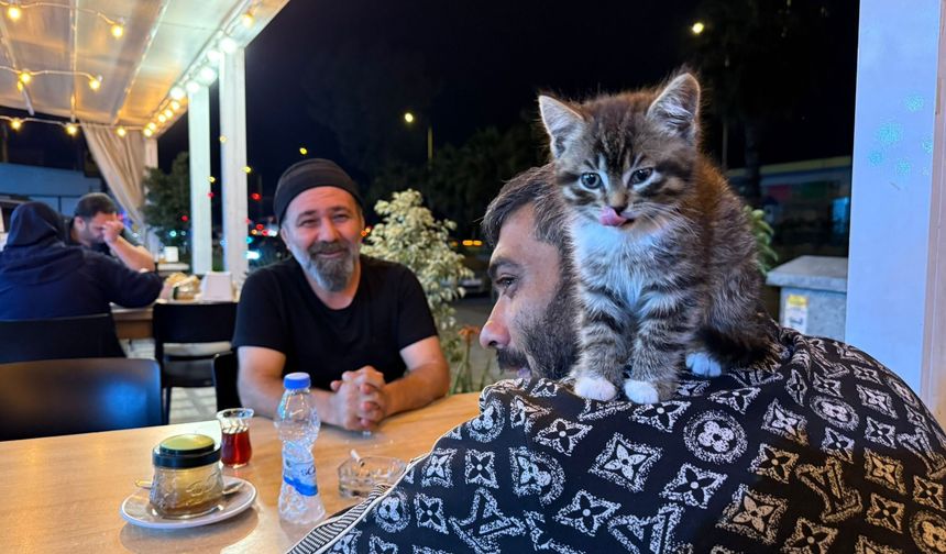 Madde bağımlısıydı, hayvan sevgisiyle hayata tutundu: Kedi kurtarıcısı oldu!