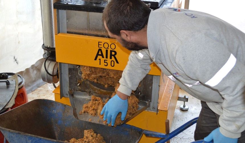 Konyaaltı'nda israfa son: Sokak hayvanlarının yüzleri bu projeyle gülecek!