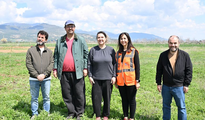 Korkuteli’nde bir ilk: İpekböcekçiliği için dut fidanı dağıtımı başladı