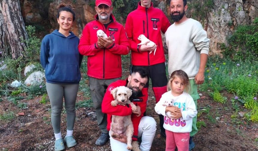 Kumluca’da ekipler seferber oldu: 6 yavru köpek annesine kavuştu
