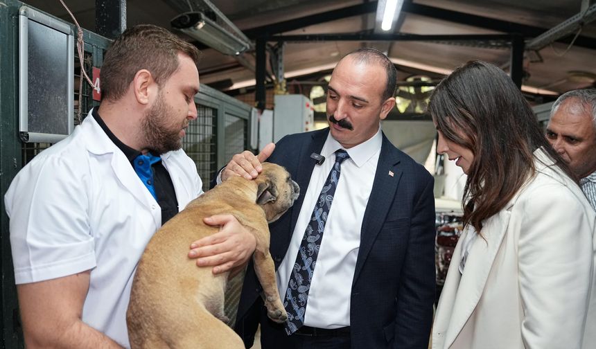 Konyaaltı Belediyesi’nden patili dostlara 130 kilogram mama desteği