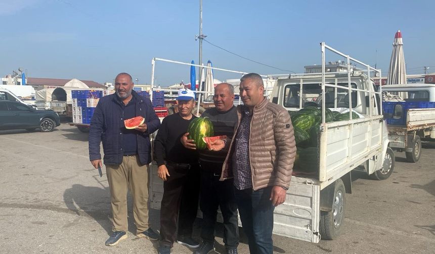 Serik’te erkenci karpuz heyecanı: Aralıkta ekildi, Nisan’da hasat edildi