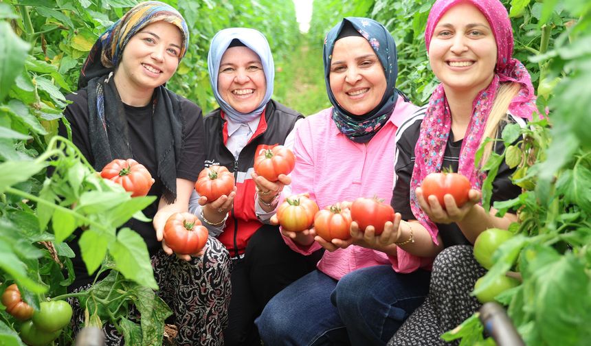 Aksu’da kadın çiftçilere sera ziyareti: Üretim yerinde incelendi