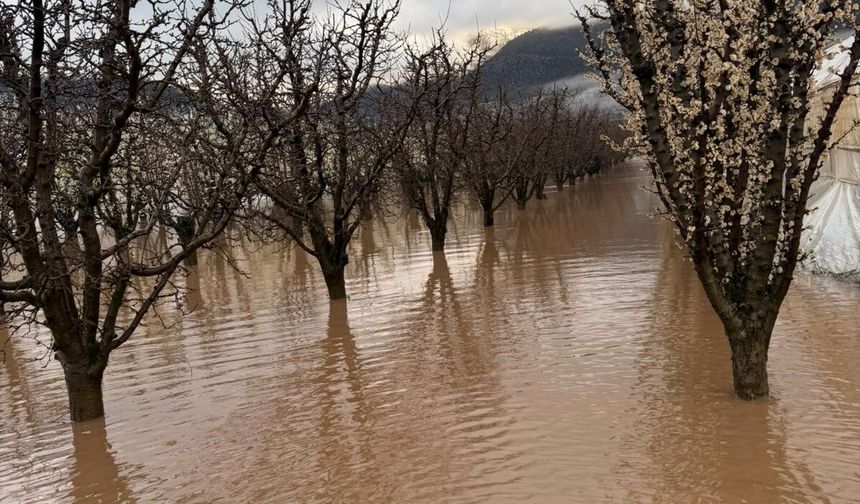 Yağış Elmalı'yı kötü etkiledi: Tarım arazilerini sel bastı!