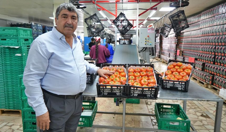 Antalya’da domates fiyatları dudak uçuklattı: Başkandan ‘denge’ uyarısı