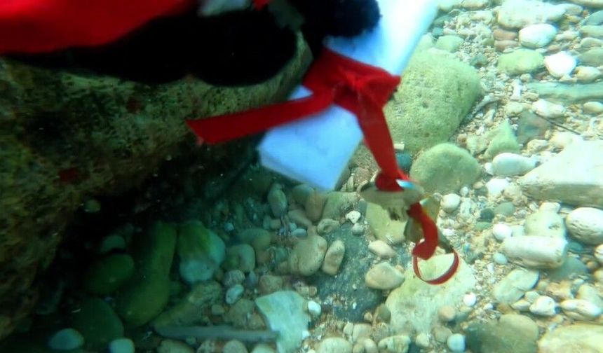 Antalya’da deniz dibi hıdırellez dilekleriyle doldu