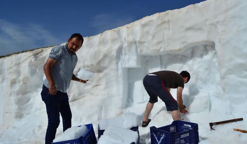 Antalya’da Mayıs ayında kar engeli: Göç yolu kapandı