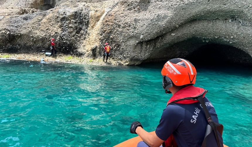 Kemer’de Akdeniz foklarının yuvası keşfedildi, mağaraya girişler engellendi!
