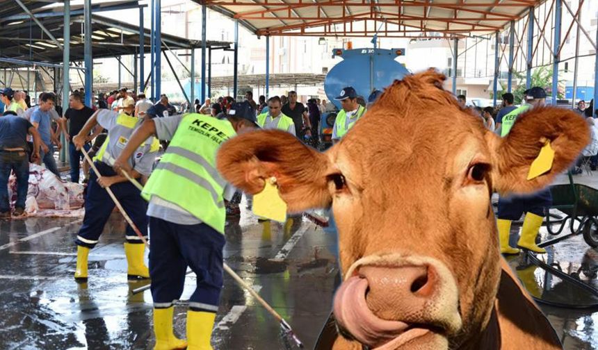 Kepez’de ücretsiz kurban kesim yerleri belli oldu: 10 nokta belirlendi