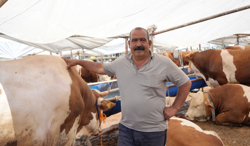Antalya hayvan pazarında bayram mesaisi: Pazarlıklar geceye kadar sürdü
