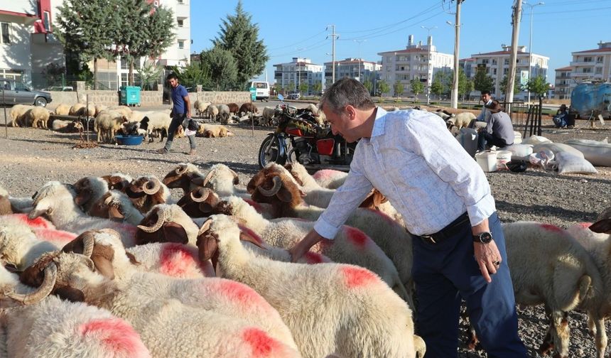 Muratpaşa’da bayram hazırlığı: Kurban satış alanı belli oldu