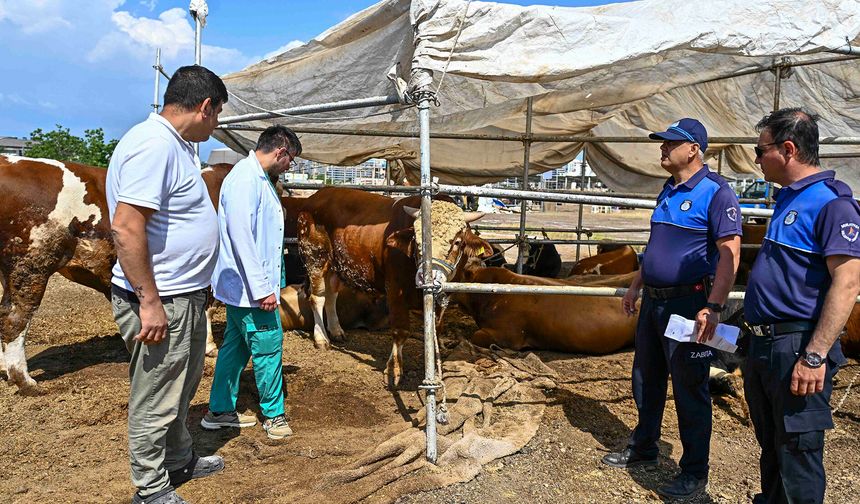 Muratpaşa’da kurban kesim noktaları belli oldu