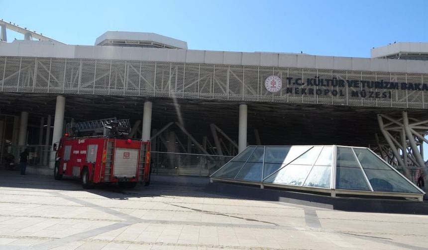 Antalya’daki müzede ölümleri durduracak önlem: Sonar sistem kurulacak