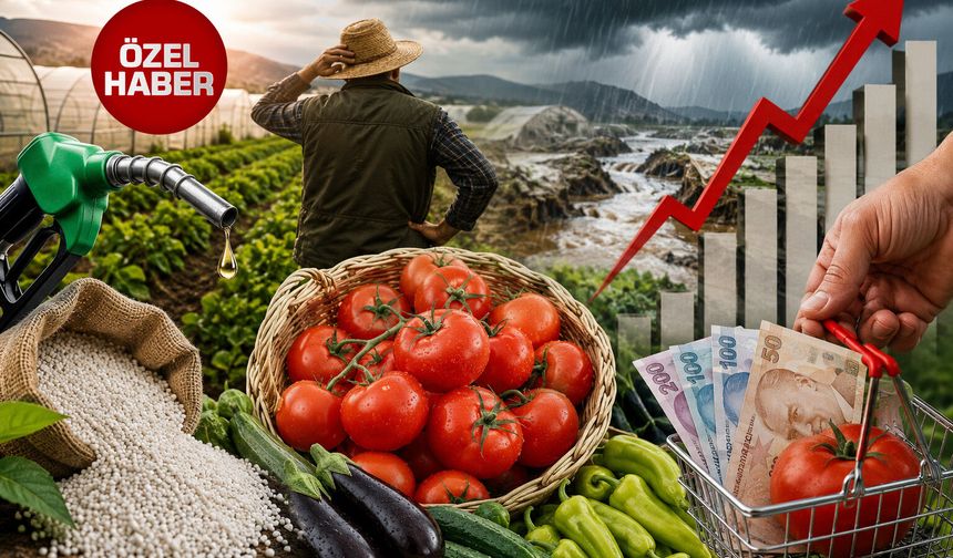 Tarımın yükü arttı: Maliyet artışı fiyatlara yansıdı