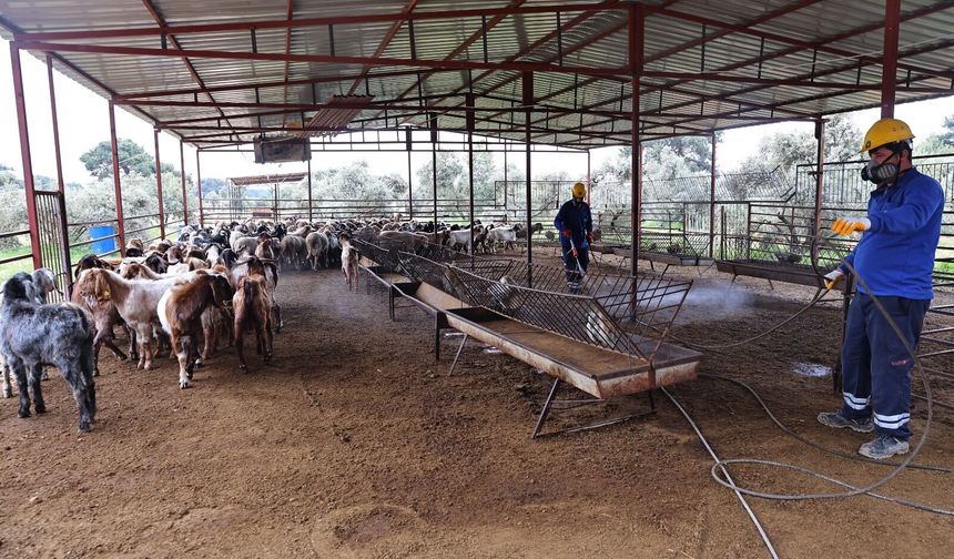 Yaz geldi, mücadele başladı: Antalya’da ilaçlama seferberliği