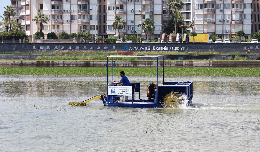 Antalya Büyükşehir’den Boğaçayı’nda ekosistemi koruyan bilimsel bakım çalışması