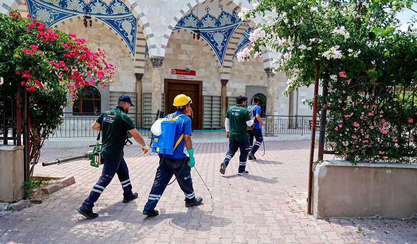 Antalya Büyükşehir’den kent genelinde vektörel mücadele çalışması